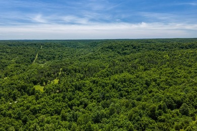 54.5 m/l acres of land offering the privacy and seclusion that - photo 6