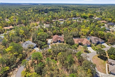 Located on a double lot, this Sugarmill Woods pool home is sure - photo 36