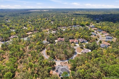 Located on a double lot, this Sugarmill Woods pool home is sure - photo 37