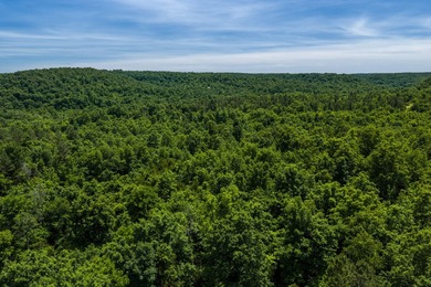 54.5 m/l acres of land offering the privacy and seclusion that - photo 8