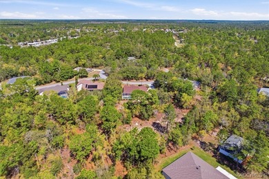 Located on a double lot, this Sugarmill Woods pool home is sure - photo 38
