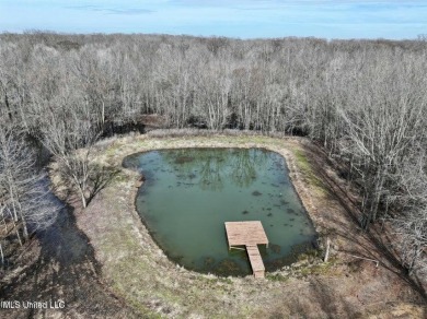 Lake Acreage For Sale in Belzoni, Mississippi