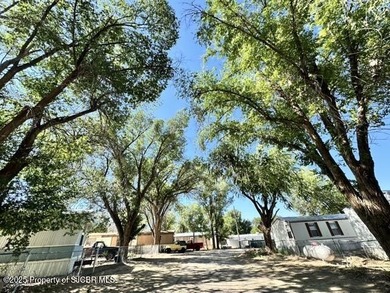 San Juan River Lot For Sale in Bloomfield New Mexico