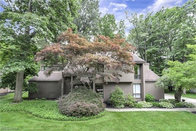 Beautiful contemporary home nestled in desirable Huntingwood - photo 1