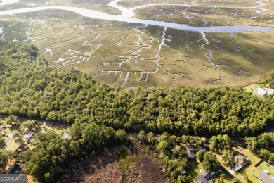 (private lake, pond, coastal) Acreage For Sale in Woodbine Georgia