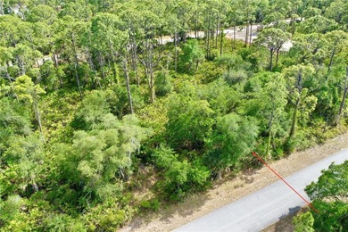 Build your custom Florida retreat on this prime .23-acre - photo 4