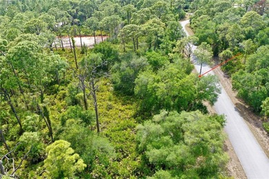 Build your custom Florida retreat on this prime .23-acre - photo 5