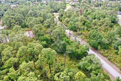Build your custom Florida retreat on this prime .23-acre - photo 6