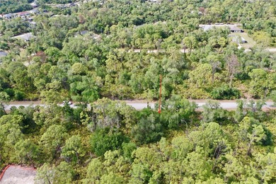 Build your custom Florida retreat on this prime .23-acre - photo 7