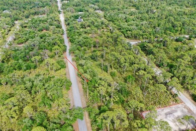 Build your custom Florida retreat on this prime .23-acre - photo 9