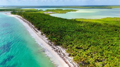 Beachfront Land for Sale in Sian Ka'an Biosphere Reserve -- - photo 1