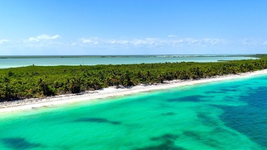 Beachfront Land for Sale in Sian Ka'an Biosphere Reserve -- - photo 4