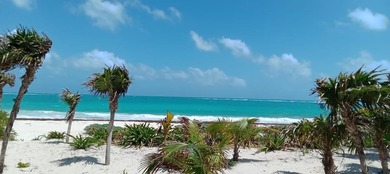 Beachfront Land for Sale in Sian Ka'an Biosphere Reserve -- - photo 6
