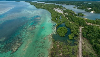 Beachfront Land for Sale in Sian Ka'an Biosphere Reserve -- - photo 8
