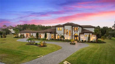 Lake Home For Sale in Thonotosassa, Florida