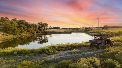 (private lake, pond, creek) Home For Sale in Goldthwaite Texas