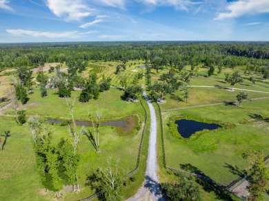 Lake Acreage For Sale in Ravenel, South Carolina