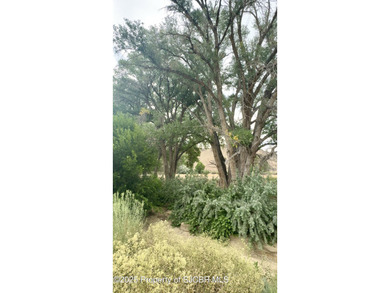 200-Acre Multi-Income Investment Property - Gravel, Agriculture