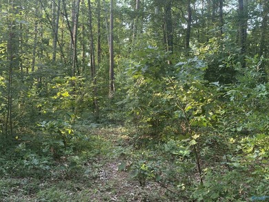 Build your dream home on these 2 waterfront tracts totaling 2 - photo 11