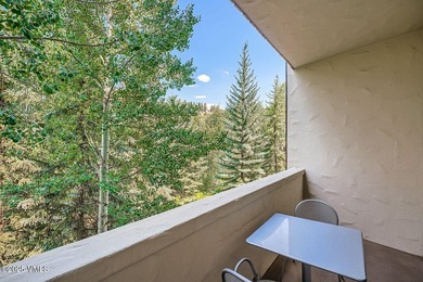 Don't miss this rare ski-in and ski-out TWO bedroom PLUS DEN in - photo 14