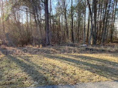 The sun feels warm on your face and cares melt away as you enjoy - Lake Lot For Sale in Lincolnton, Georgia