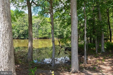 READY FOR YOU NOW!! Recent price adjustment!!! Take a drive thru - photo 32