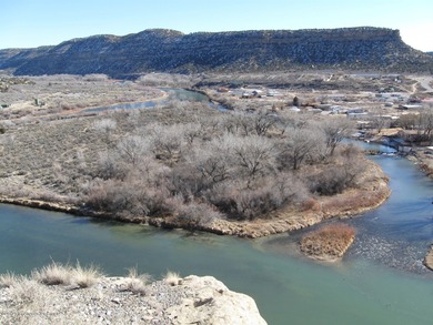 San Juan River Acreage For Sale in Navajo Dam New Mexico