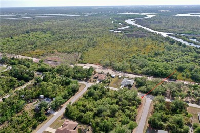 Build your custom Florida home on this oversized .28-acre corner - photo 3