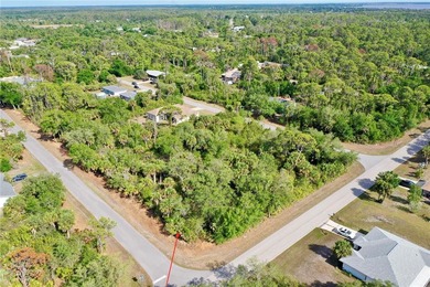 Build your custom Florida home on this oversized .28-acre corner - photo 6