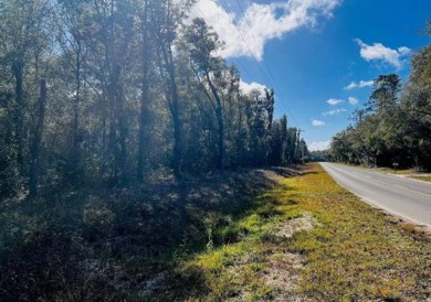 Lake Lot For Sale in Florahome, Florida