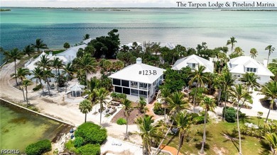 Situated on the northwestern point of Useppa Island, *Whelk - photo 3
