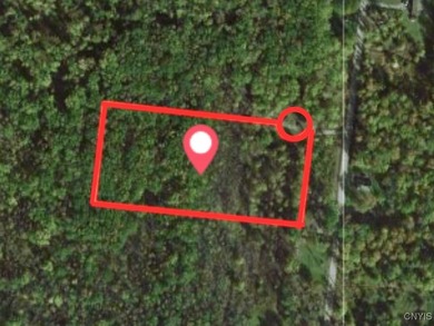 Oneida Lake Acreage For Sale in Canastota New York