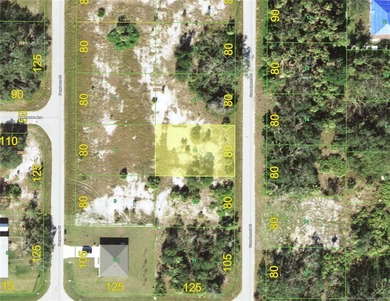 Located in a growing part of Port Charlotte with newer homes - photo 1