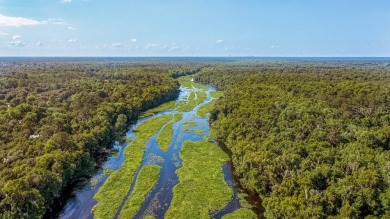 Wekiva River  Acreage For Sale in Sorrento Florida