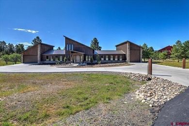 Lake Forest Home For Sale in Pagosa Springs Colorado