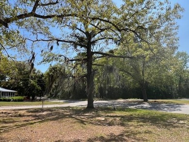 Spring is here, and the weather is getting warmer, so you can - photo 15