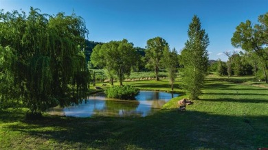Lake Lot For Sale in Durango, Colorado