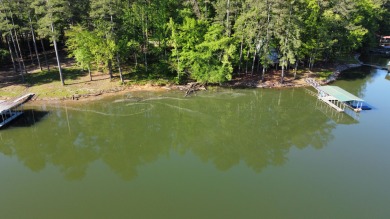 Don't miss this rare opportunity to own an unrestricted 0 - Lake Lot For Sale in Double Springs, Alabama