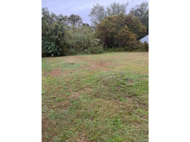 Flat 1/2 buildable acre with proper approvals and building - photo 2