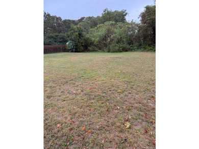 Flat 1/2 buildable acre with proper approvals and building - photo 3