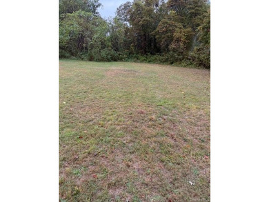 Flat 1/2 buildable acre with proper approvals and building - photo 5