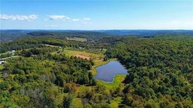 (private lake, pond, coastal) Home For Sale in Gillett Pennsylvania