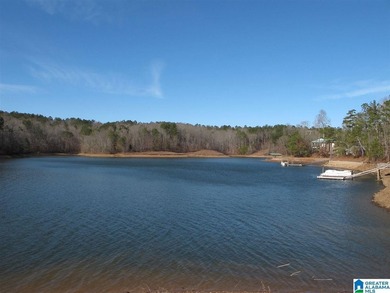 THIS IS A RESTRICTED LOT WITH 110 FEET OF SHORELINE WITH YEAR - photo 1