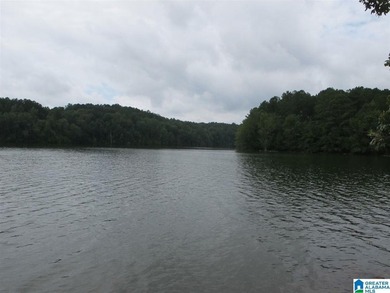THIS IS A RESTRICTED LOT WITH 110 FEET OF SHORELINE WITH YEAR - photo 2