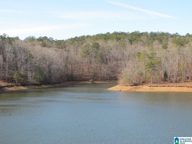 THIS IS A RESTRICTED LOT WITH 110 FEET OF SHORELINE WITH YEAR - photo 3
