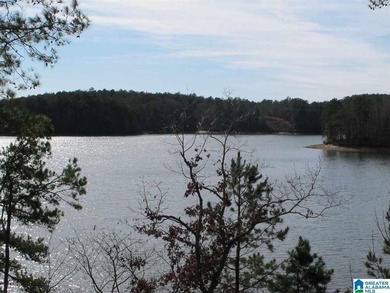THIS IS A RESTRICTED LOT WITH 110 FEET OF SHORELINE WITH YEAR - photo 4