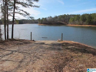 THIS IS A RESTRICTED LOT WITH 110 FEET OF SHORELINE WITH YEAR - photo 5
