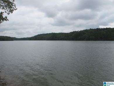 THIS IS A RESTRICTED LOT WITH 110 FEET OF SHORELINE WITH YEAR - photo 7