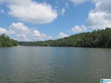 THIS IS A RESTRICTED LOT WITH 110 FEET OF SHORELINE WITH YEAR - photo 8