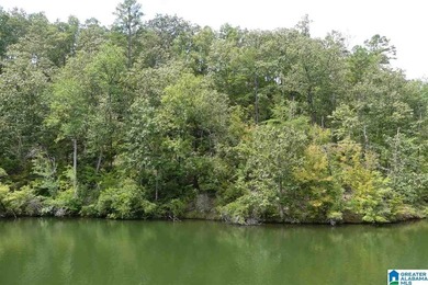 THIS IS A RESTRICTED LOT WITH 110 FEET OF SHORELINE WITH YEAR - photo 9